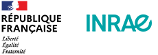 Logo Principal Logo Principal
